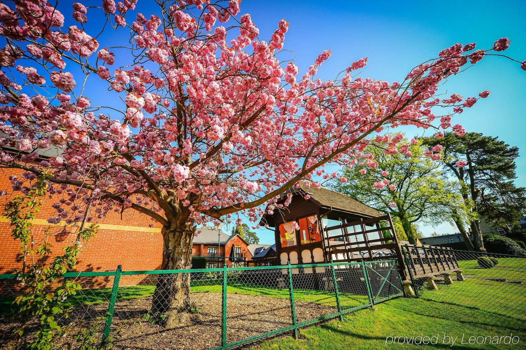 Foxhills Club & Resort Ottershaw Buitenkant foto